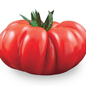Pomodoro