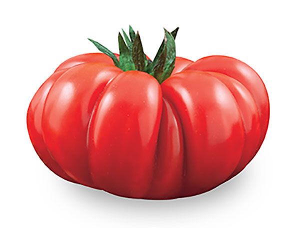 pomodoro_prodotto